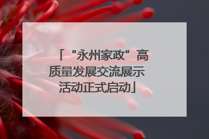 “永州家政”高质量发展交流展示活动正式启动