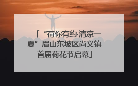 “荷你有约·清凉一夏”眉山东坡区尚义镇首届荷花节启幕