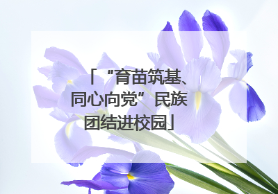 “育苗筑基、同心向党”民族团结进校园