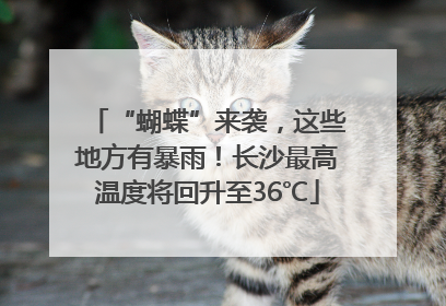 “蝴蝶”来袭，这些地方有暴雨！长沙最高温度将回升至36℃