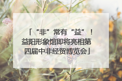 “非”常有“益”！益阳形象馆即将亮相第四届中非经贸博览会