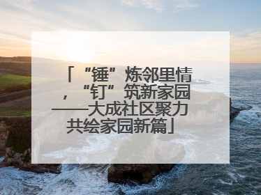 “锤”炼邻里情，“钉”筑新家园——大成社区聚力共绘家园新篇