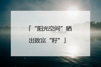 “阳光空间”晒出致富“籽”