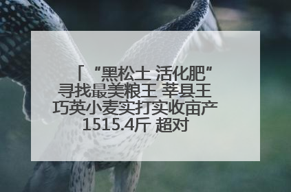 “黑松土 活化肥”寻找最美粮王 莘县王巧英小麦实打实收亩产1515.4斤 超对照田144斤！