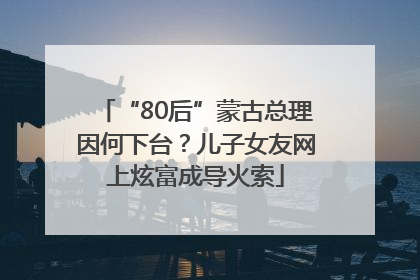 “80后”蒙古总理因何下台？儿子女友网上炫富成导火索