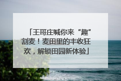 王哥庄喊你来“趣”割麦！麦田里的丰收狂欢，解锁田园新体验