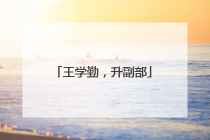 王学勤，升副部