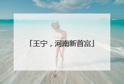 王宁，河南新首富