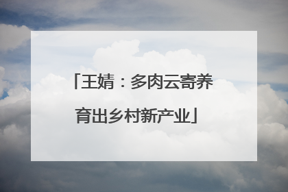 王婧：多肉云寄养 育出乡村新产业