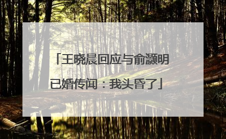 王晓晨回应与俞灏明已婚传闻：我头昏了