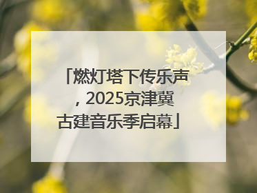 燃灯塔下传乐声，2025京津冀古建音乐季启幕