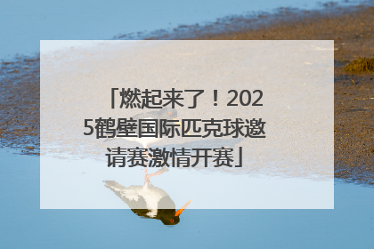 燃起来了！2025鹤壁国际匹克球邀请赛激情开赛