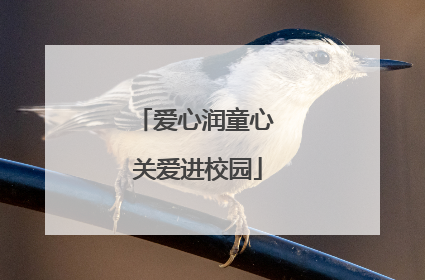 爱心润童心 关爱进校园
