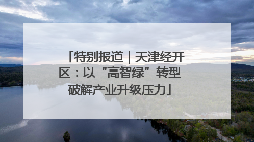特别报道｜天津经开区：以“高智绿”转型破解产业升级压力