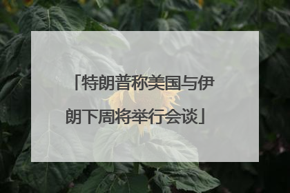 特朗普称美国与伊朗下周将举行会谈