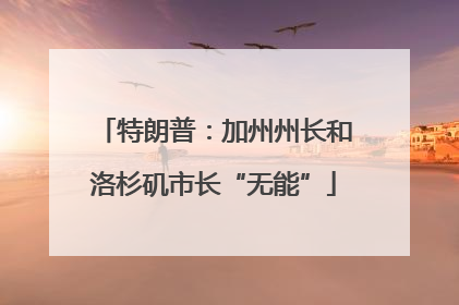 特朗普：加州州长和洛杉矶市长“无能”