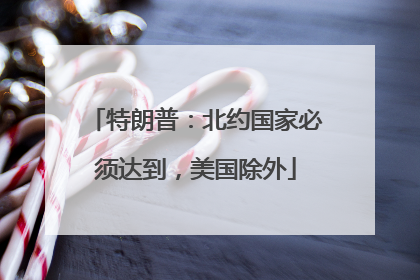 特朗普：北约国家必须达到，美国除外