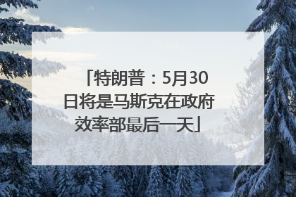 特朗普：5月30日将是马斯克在政府效率部最后一天