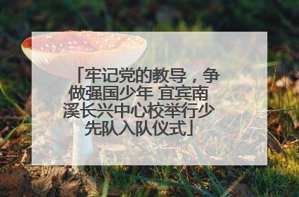 牢记党的教导，争做强国少年 宜宾南溪长兴中心校举行少先队入队仪式