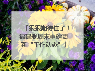 狠狠期待住了！福建舰周末重磅更新“工作动态”