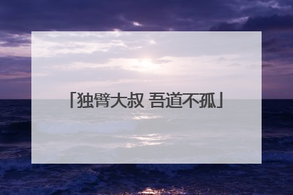 独臂大叔 吾道不孤