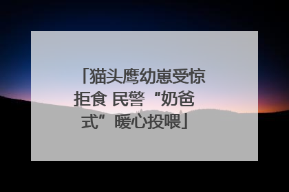 猫头鹰幼崽受惊拒食 民警“奶爸式”暖心投喂