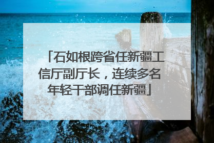 石如根跨省任新疆工信厅副厅长，连续多名年轻干部调任新疆