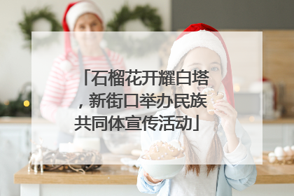 石榴花开耀白塔，新街口举办民族共同体宣传活动