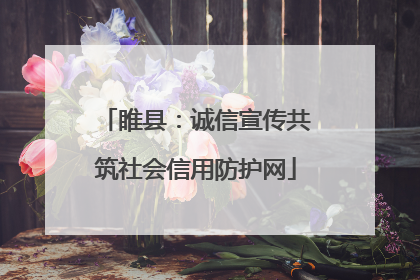 睢县：诚信宣传共筑社会信用防护网