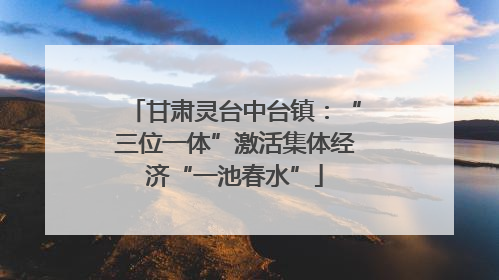 甘肃灵台中台镇：“三位一体”激活集体经济“一池春水”