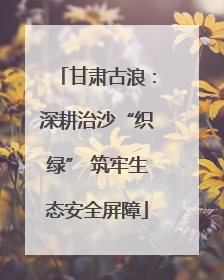 甘肃古浪：深耕治沙“织绿” 筑牢生态安全屏障