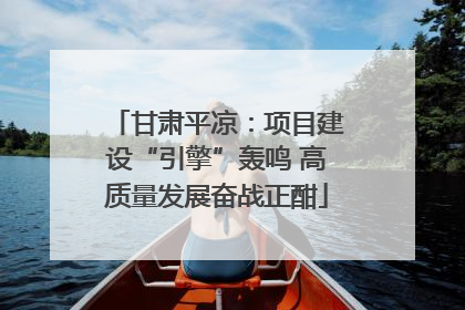 甘肃平凉：项目建设“引擎”轰鸣 高质量发展奋战正酣