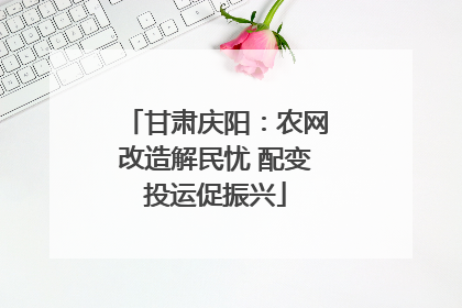 甘肃庆阳：农网改造解民忧 配变投运促振兴
