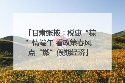 甘肃张掖：税惠“粽”情端午 看政策春风点“燃”假期经济