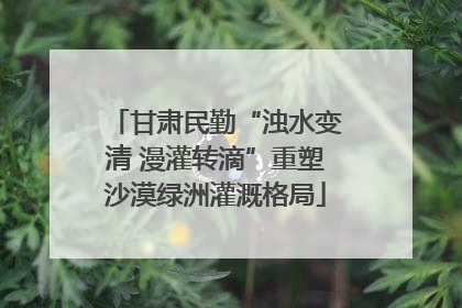 甘肃民勤“浊水变清 漫灌转滴”重塑沙漠绿洲灌溉格局