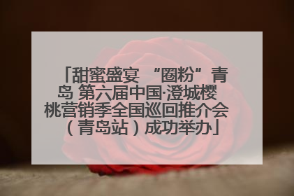 甜蜜盛宴 “圈粉”青岛 第六届中国·澄城樱桃营销季全国巡回推介会（青岛站）成功举办