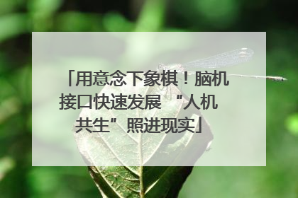 用意念下象棋！脑机接口快速发展 “人机共生”照进现实