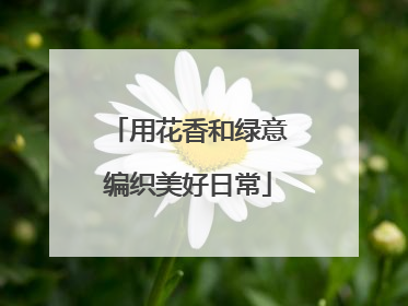 用花香和绿意编织美好日常