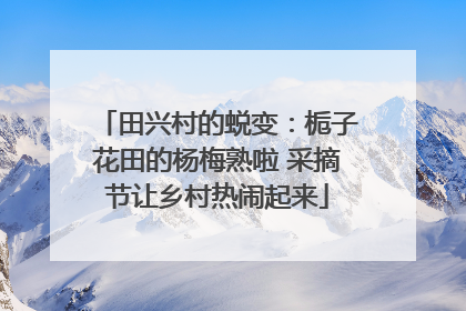 田兴村的蜕变：栀子花田的杨梅熟啦 采摘节让乡村热闹起来
