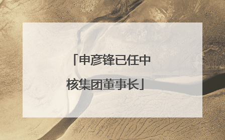申彦锋已任中核集团董事长
