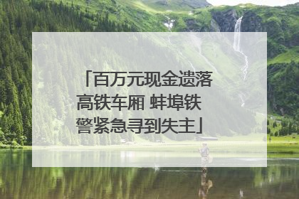 百万元现金遗落高铁车厢 蚌埠铁警紧急寻到失主