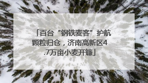 百台“钢铁麦客”护航颗粒归仓，济南高新区4.7万亩小麦开镰