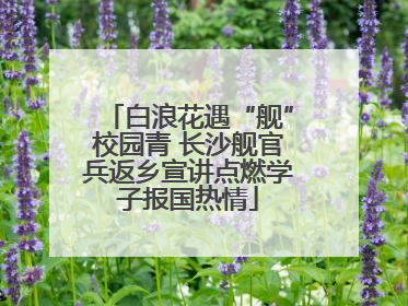 白浪花遇“舰”校园青 长沙舰官兵返乡宣讲点燃学子报国热情