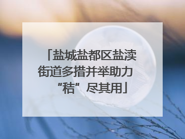 盐城盐都区盐渎街道多措并举助力“秸”尽其用