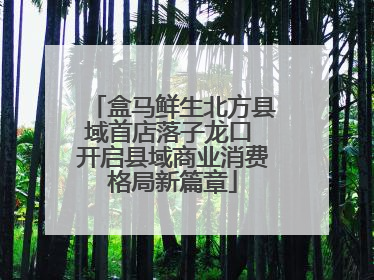 盒马鲜生北方县域首店落子龙口 开启县域商业消费格局新篇章