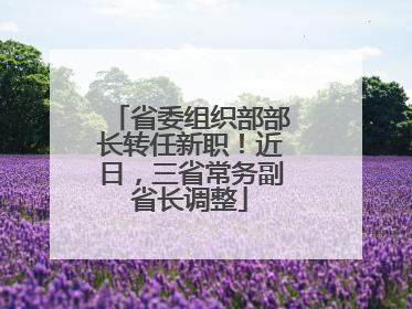 省委组织部部长转任新职！近日，三省常务副省长调整