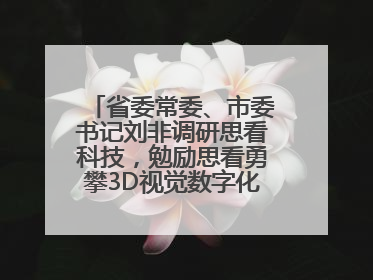省委常委、市委书记刘非调研思看科技，勉励思看勇攀3D视觉数字化科技高峰