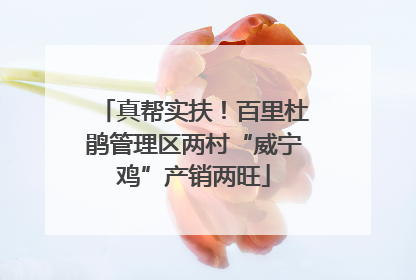 真帮实扶！百里杜鹃管理区两村“威宁鸡”产销两旺