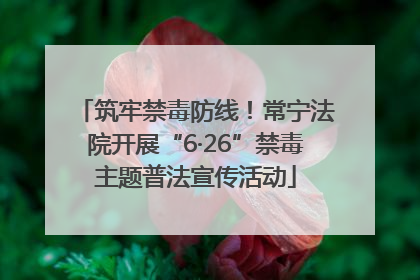 筑牢禁毒防线！常宁法院开展“6·26”禁毒主题普法宣传活动