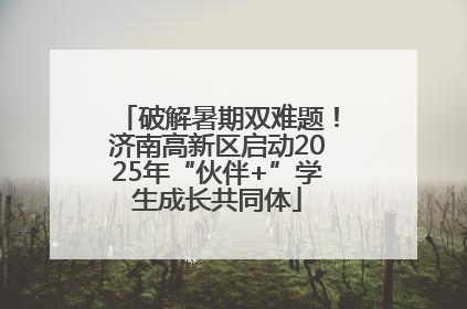 破解暑期双难题！济南高新区启动2025年“伙伴+”学生成长共同体